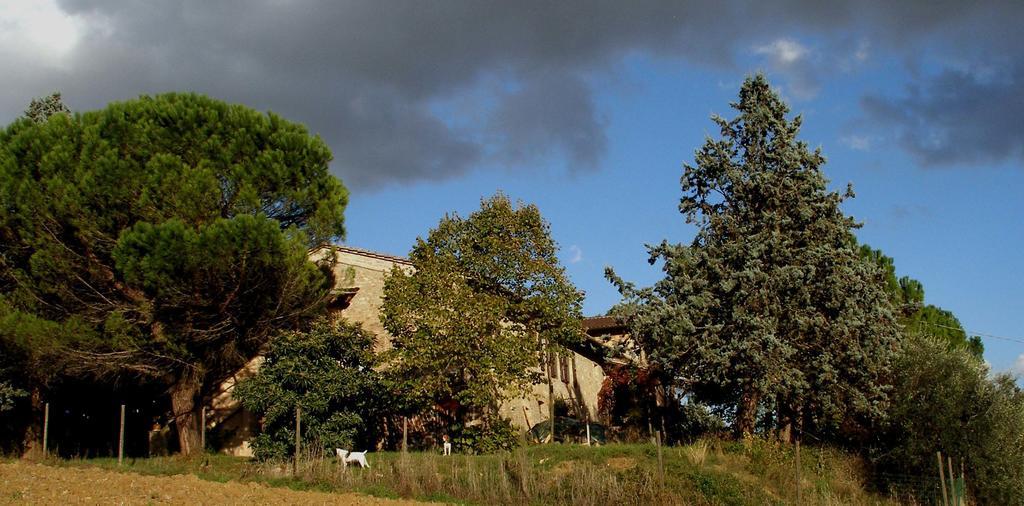 B&B Della Rosa Civitella D'Arna Экстерьер фото